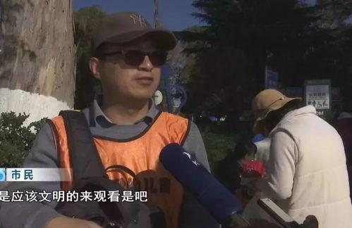 人人惹怒在线视频