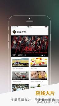 久了在线视频播放,在线视频播放的时光印记