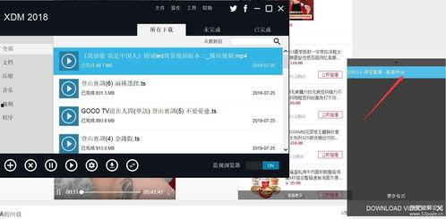 在线视频下载 idm,解锁在线视频下载新境界