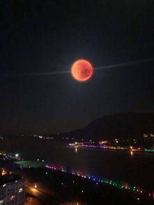 月夜在线视频观看,在线视频观看的浪漫之旅